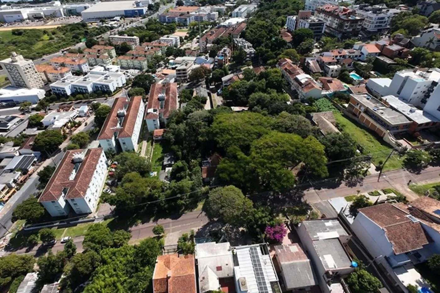 CC 345 Lote 610191048-50 - REMAX Casa Sul Exclusividades — foto 2