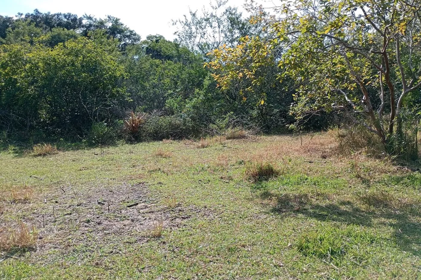 BNDL 4092 610441001-14 - REMAX Diamond Orla Exclusividades — foto 2