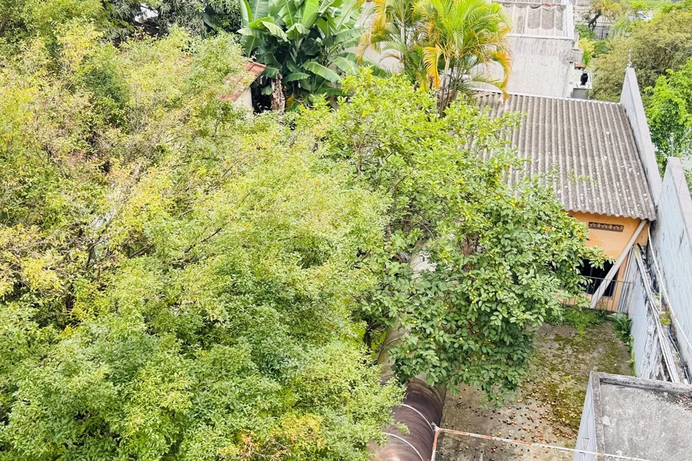 RPVDN 19 Sala 601361051-70 - REMAX Trio Exclusividades — foto 5