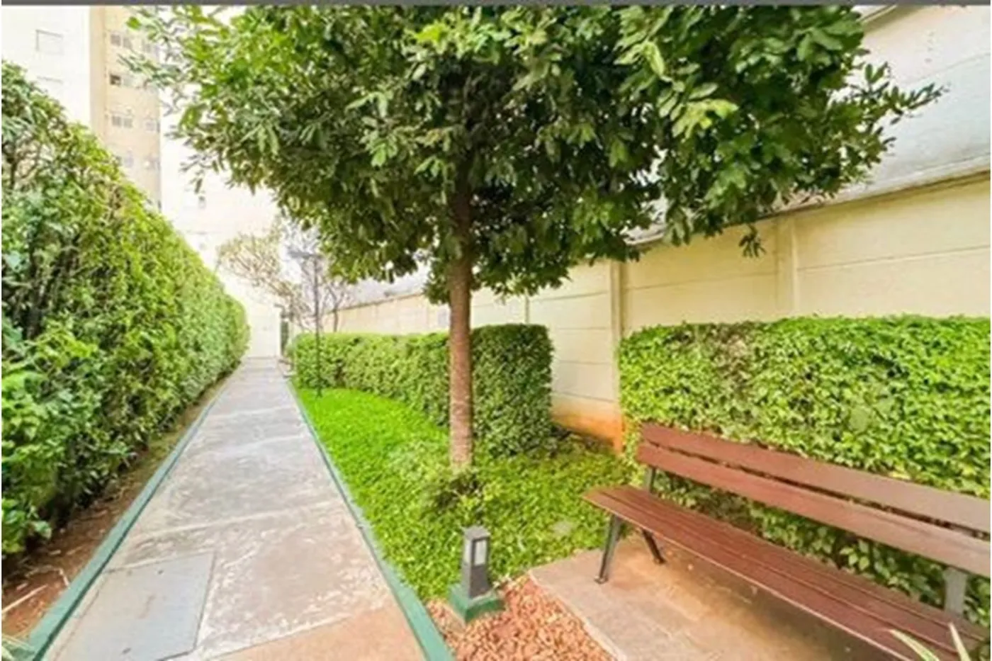 CDAN 581 Apto 601401064-7 - REMAX Paradisus Exclusividades — foto 5